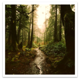 AminaDoreiKey.png|cover hsmall