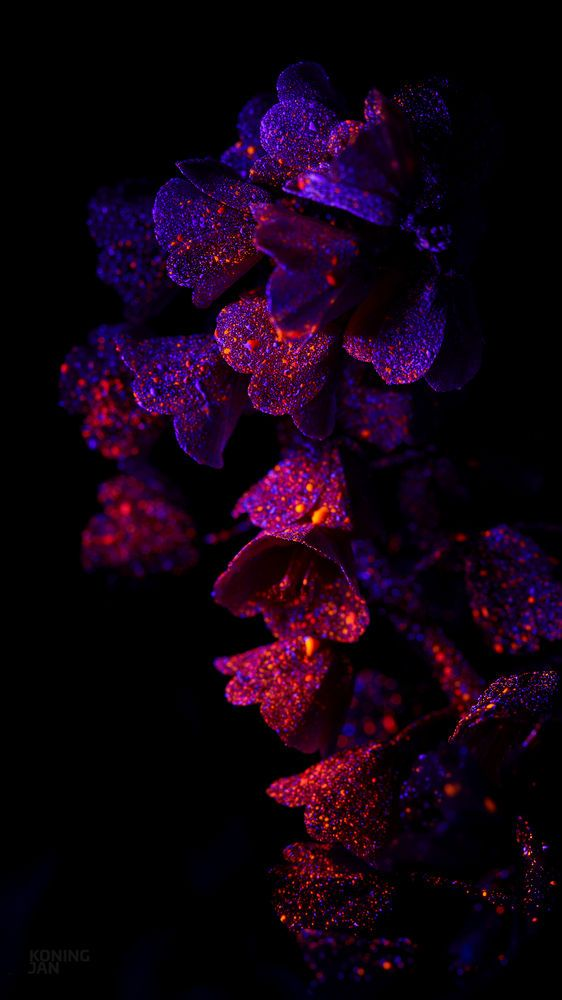 Pasted image 20230122185621.png