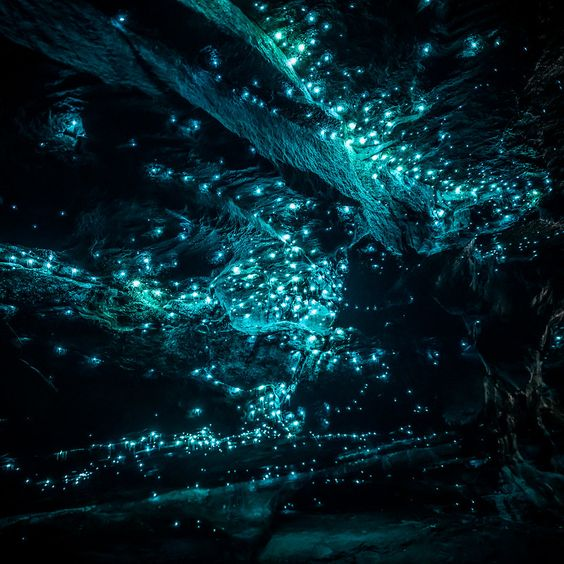 Pasted image 20230122194531.png