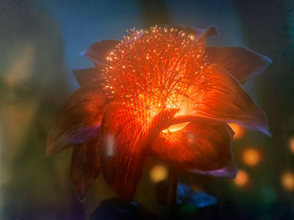 Pasted image 20230127162657.png