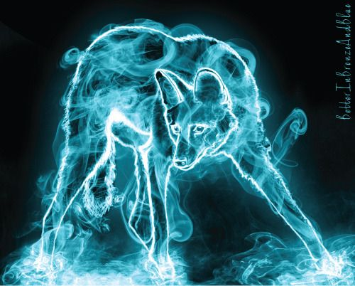 Pasted image 20230319055409.png