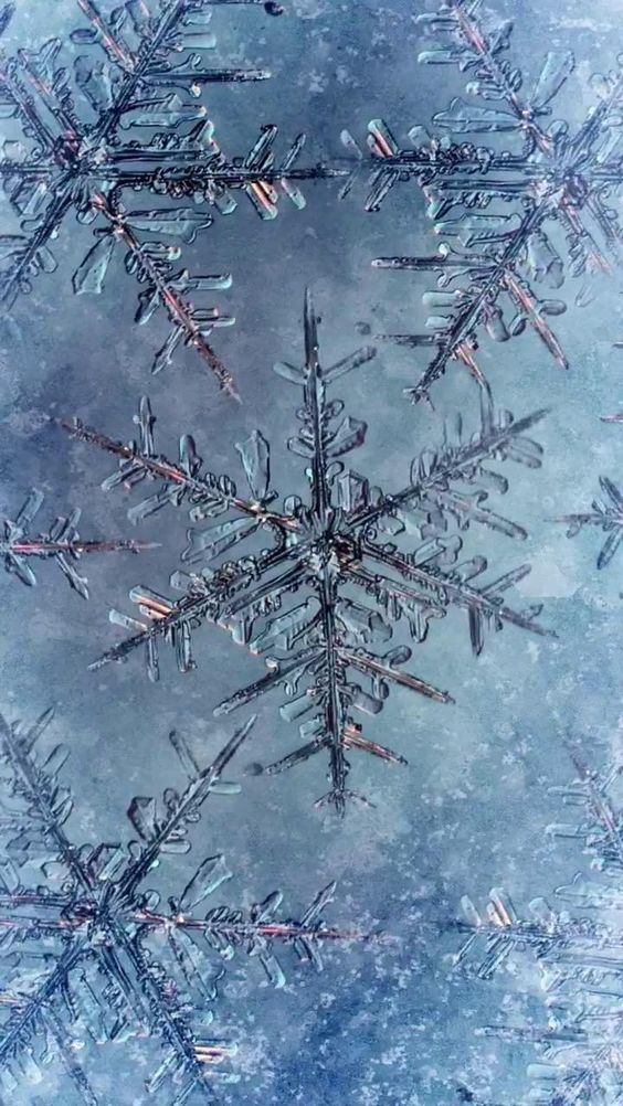 Pasted image 20230322063636.png