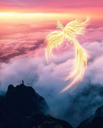 Pasted image 20230401181936.png