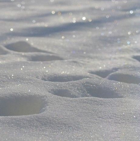 Pasted image 20230719184636.png