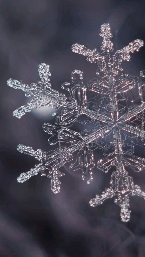 Pasted image 20230719185808.png