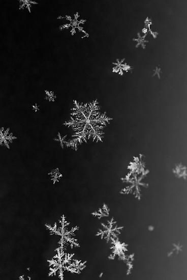 Pasted image 20230719185921.png